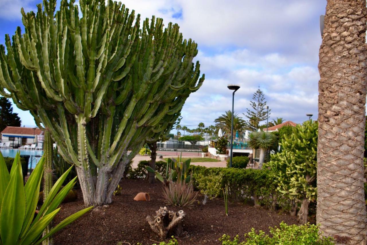 Bungalow En Playa Del Ingles Luaran gambar